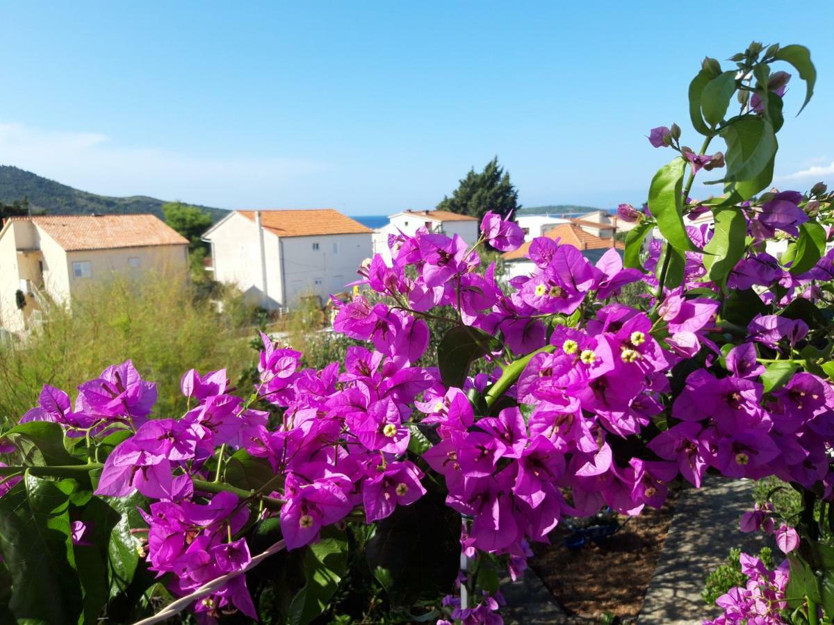 Apartman Dida Jakov Primošten Exterior foto